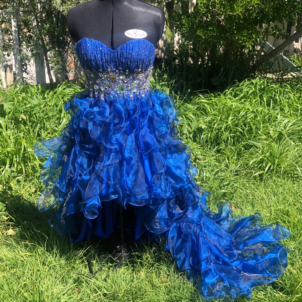 Gorgeous formal gown with elaborate beading 🦄